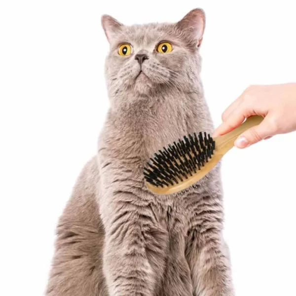 Pet Slicker Brush Double Side